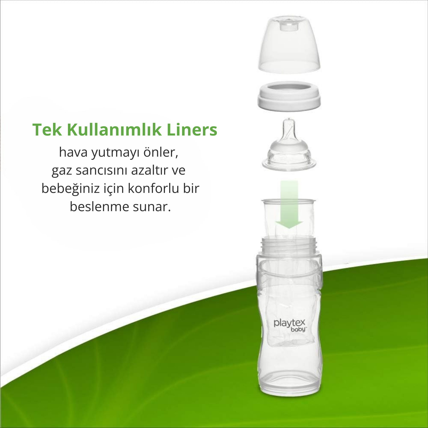 Bebek